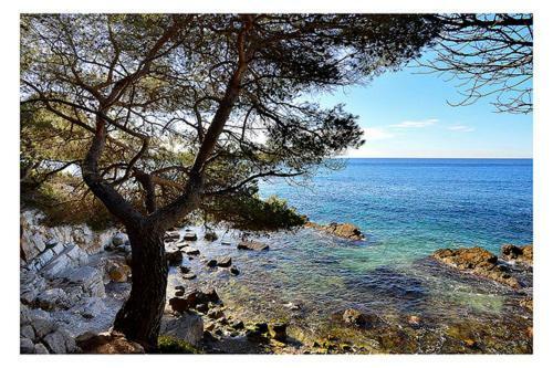 Appartamento Suquet26 Cannes Esterno foto
